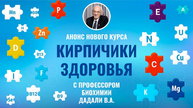 [Владимир Дадали] Кирпичики здоровья (2024)_0.png